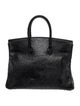 Hermès Ostrich Birkin 35