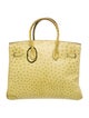 Hermès Ostrich Birkin 35
