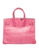 Hermès Ostrich Birkin 35