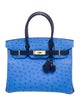 Hermès 2023 Special Order Ostrich Birkin 30