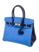 Hermès 2023 Special Order Ostrich Birkin 30