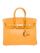 Hermès Epsom Candy Birkin 25