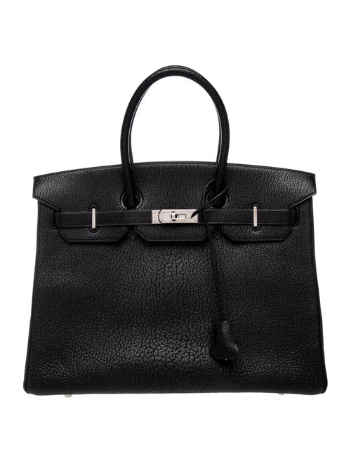 Hermès Chevre de Coromandel Birkin 35
