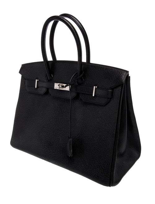 Hermès Chevre de Coromandel Birkin 35