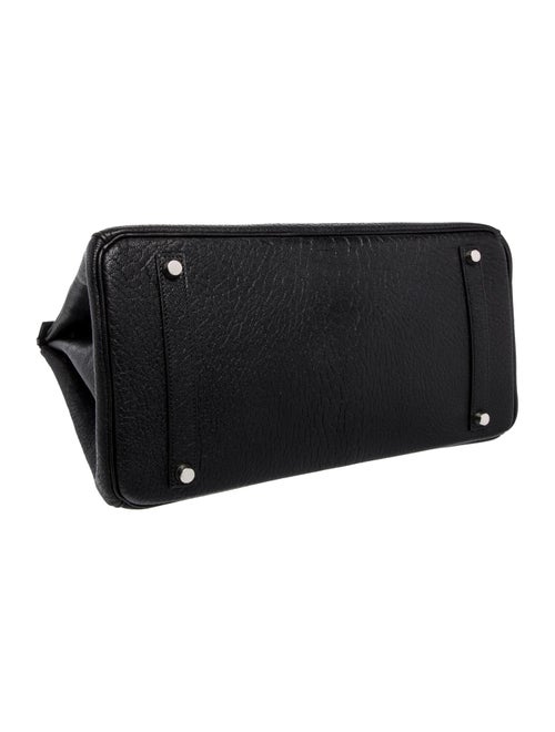 Hermès Chevre de Coromandel Birkin 35