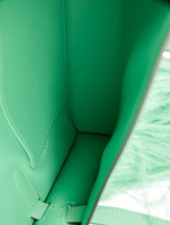 Hermès 2023 Chevre Ostrich Feather Kelly Elan Folies