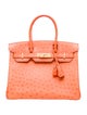 Hermès Ostrich Birkin 30