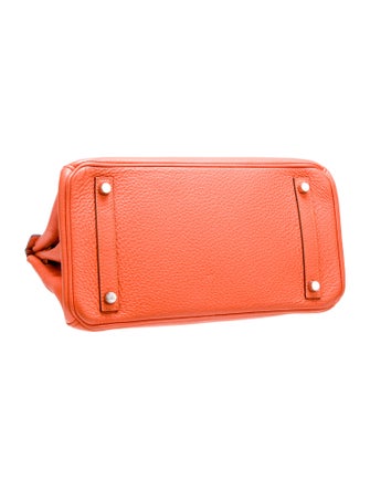 Hermès Clemence Birkin 30