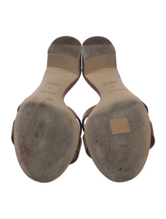 Hermès Oasis H Logo Slides