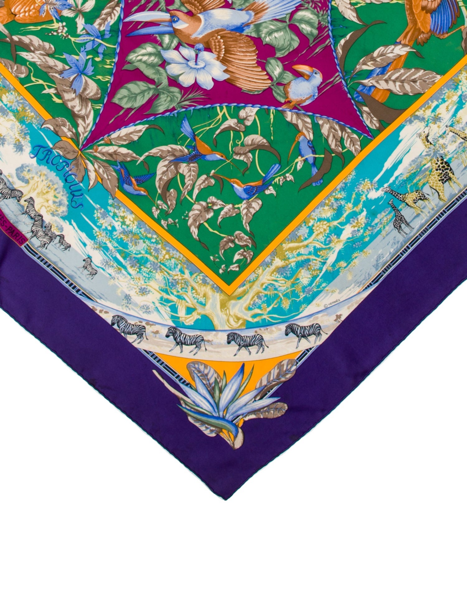 Hermès Tropiques Silk Scarf