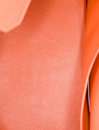 Hermès Togo Birkin 35