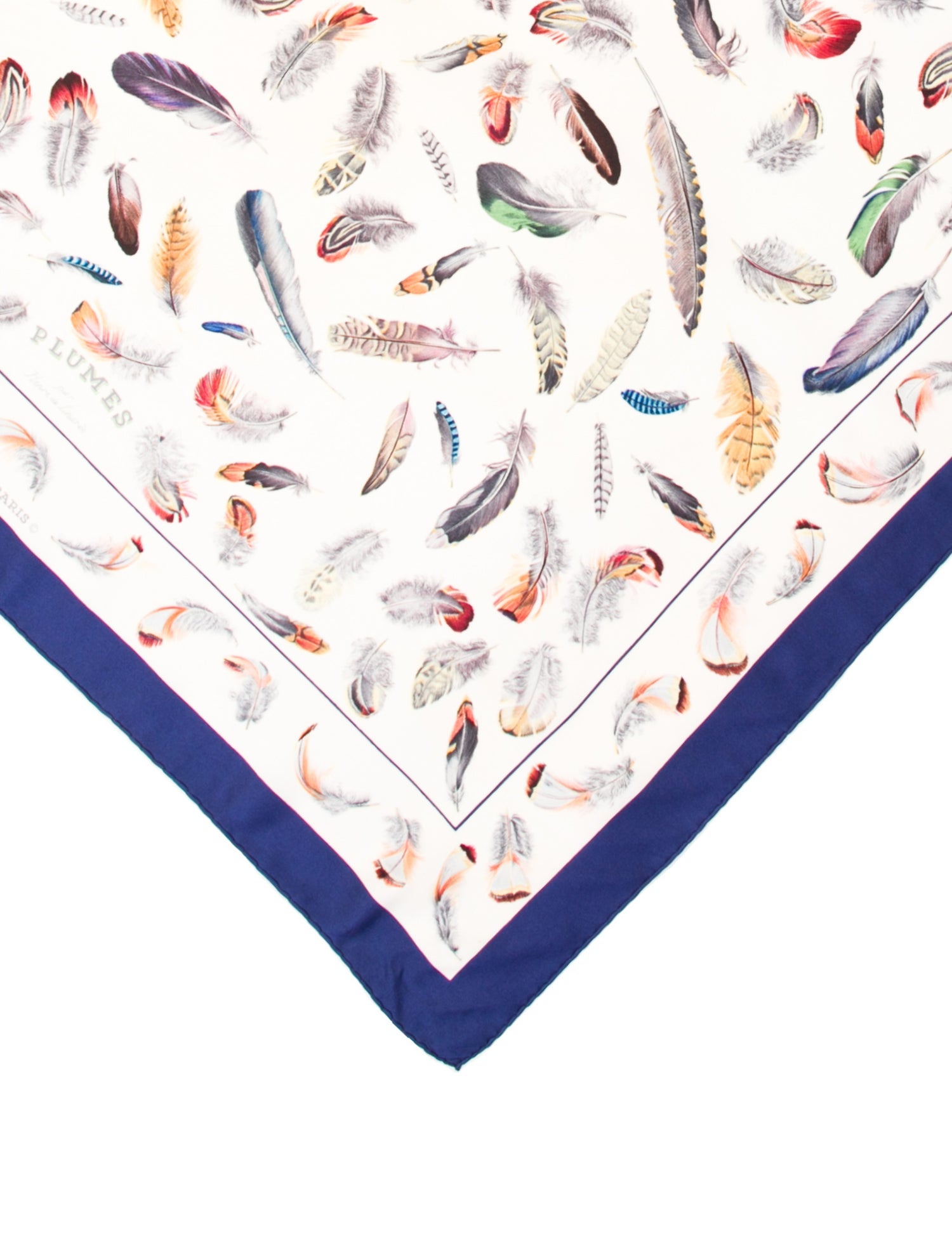 Hermès Plumes Silk Scarf
