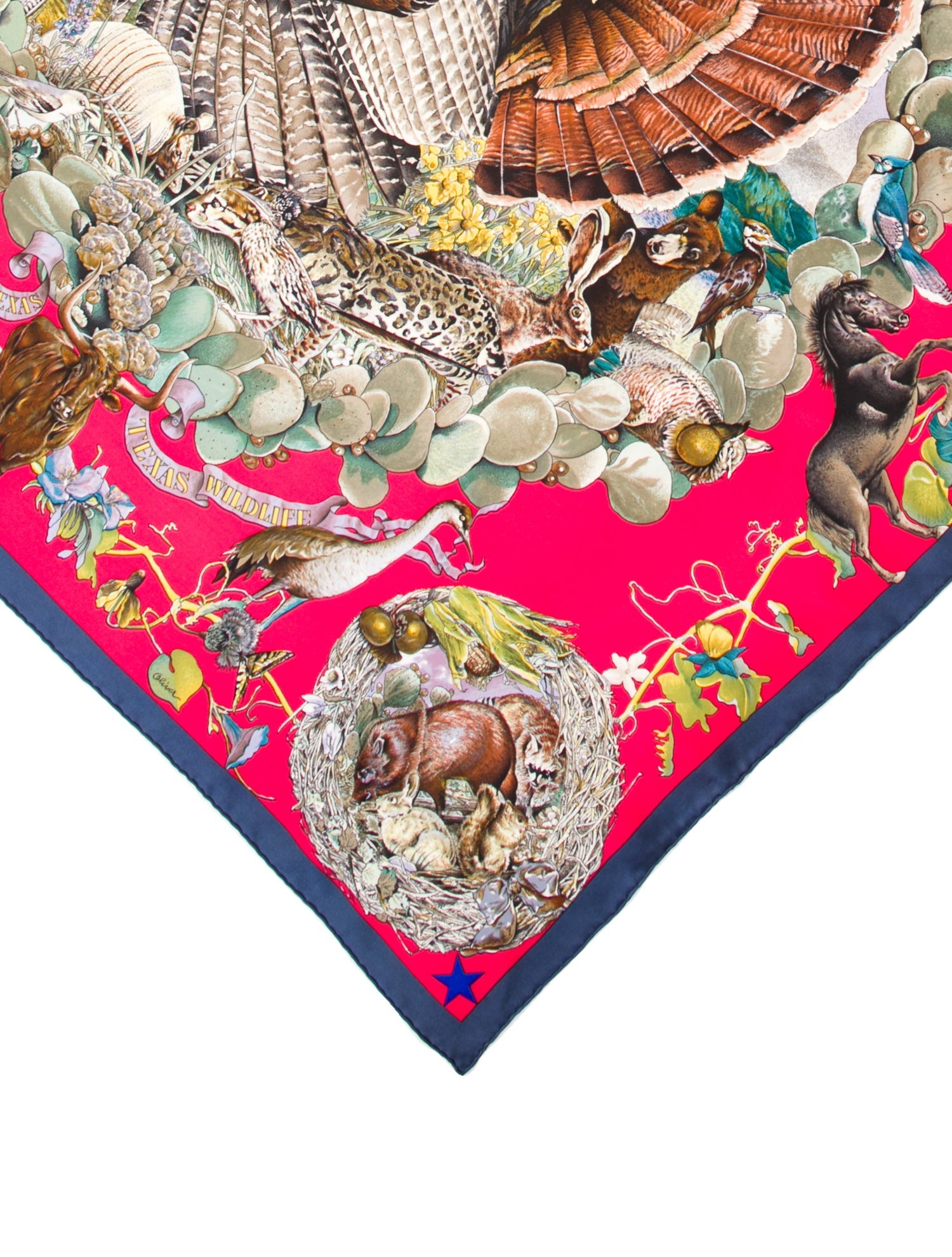 Hermès Faune Et Flore du Texas Wildlife Silk Scarf