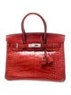 Hermès 2008 Hermès Matte Niloticus Crocodile Birkin 30