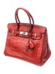 Hermès 2008 Hermès Matte Niloticus Crocodile Birkin 30