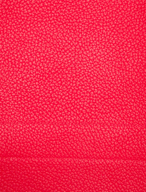 Hermès Toile & Negonda Garden Party 36