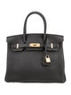 Hermès 2023 Togo Birkin 30