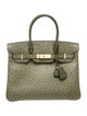 Hermès Ostrich Birkin 30