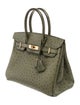 Hermès Ostrich Birkin 30