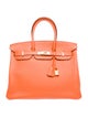 Hermès Togo Birkin 35