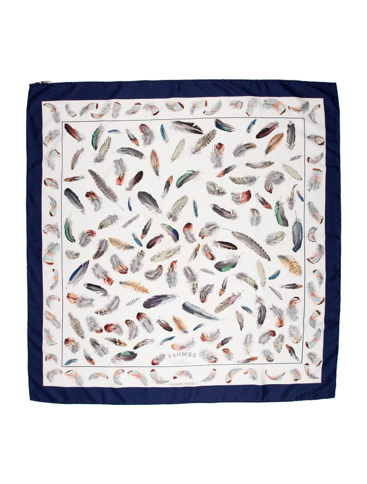 Hermès Plumes Silk Scarf