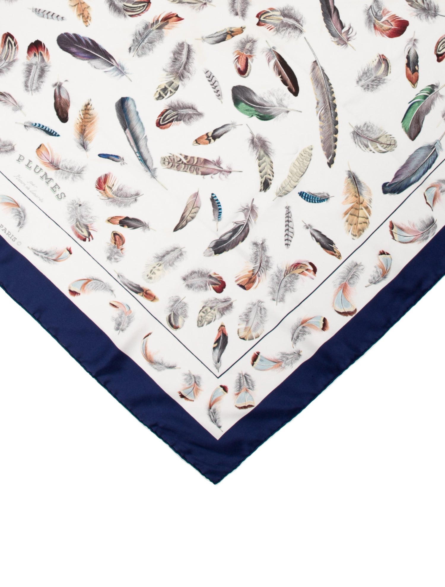 Hermès Plumes Silk Scarf