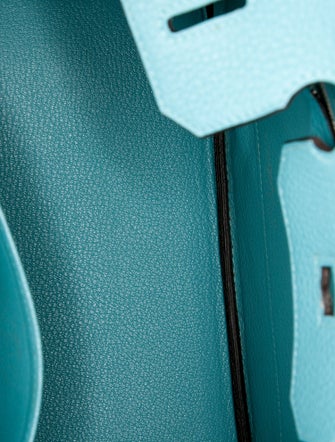 Hermès Clemence Birkin 30