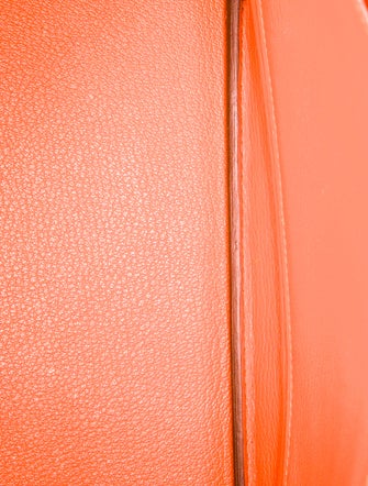 Hermès Ostrich Birkin 30