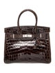 Hermès Shiny Niloticus Crocodile Birkin 30