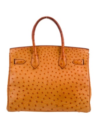 Hermès Ostrich Birkin 30