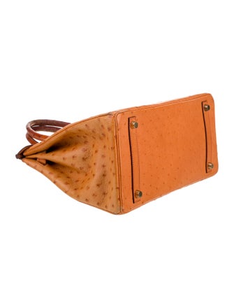 Hermès Ostrich Birkin 30