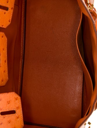 Hermès Ostrich Birkin 30