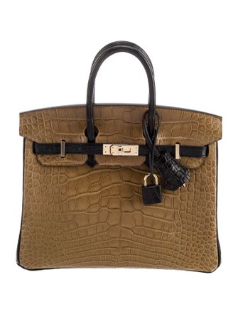 Hermès 2025 Special Order Matte Alligator Birkin 25