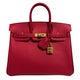 Hermès Epsom Special Order Birkin 25