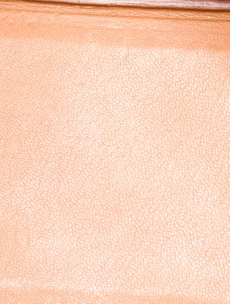 Hermès Togo Birkin 25