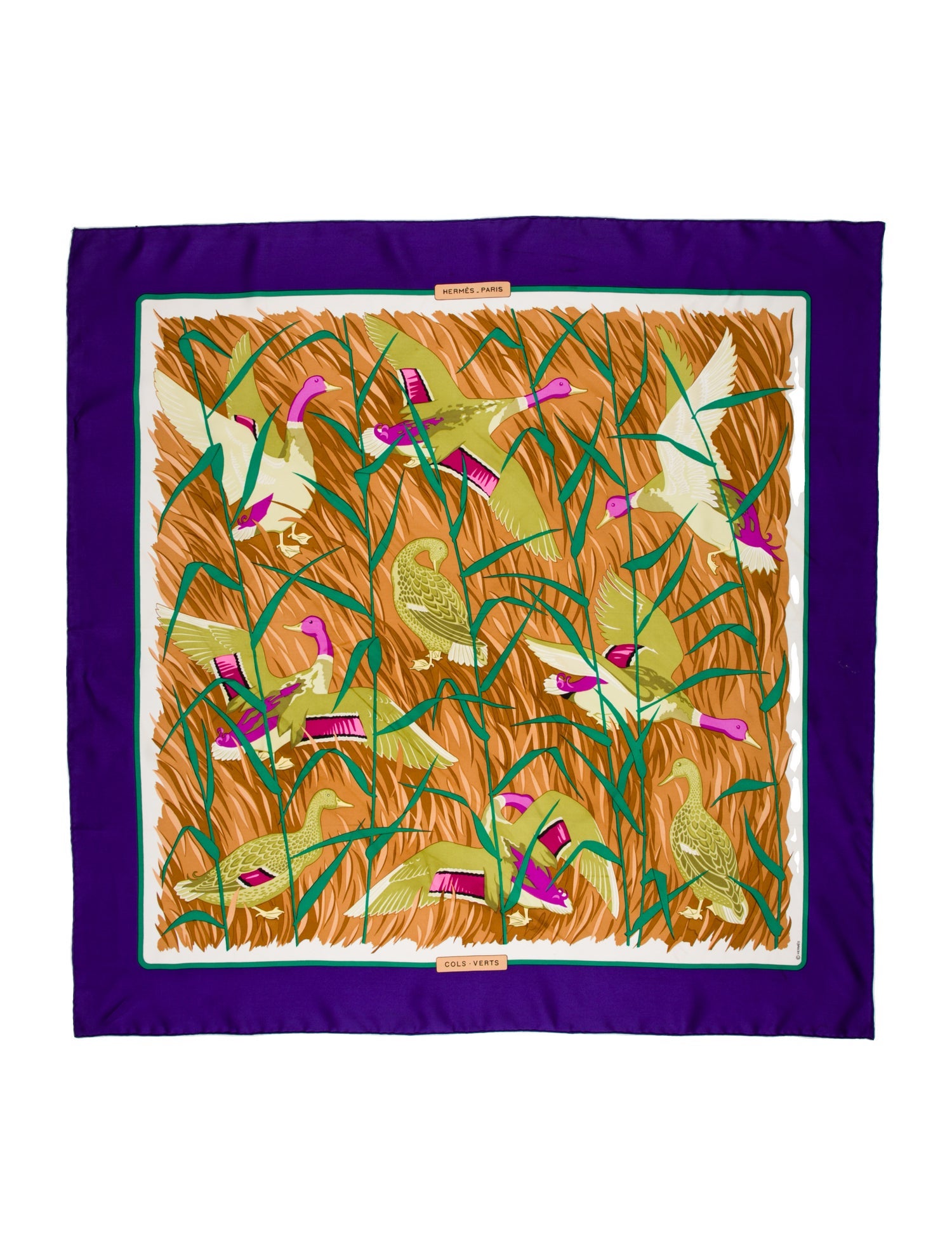 Hermès Cols Verts Silk Scarf