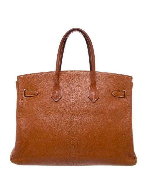 Hermès Chevre de Coromandel Birkin 35