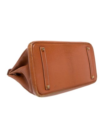 Hermès Chevre de Coromandel Birkin 35