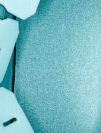 Hermès Clemence Birkin 35