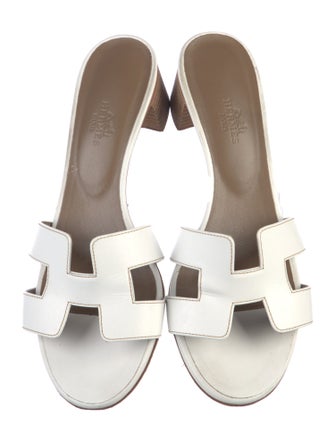 Hermès Oasis H Logo Slides