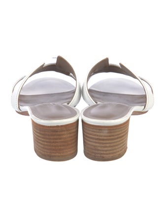 Hermès Oasis H Logo Slides