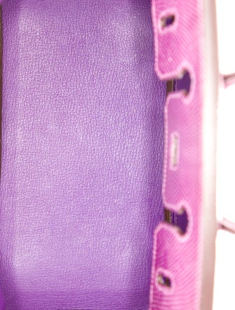 Hermès Varanus Niloticus Lizard Birkin 25