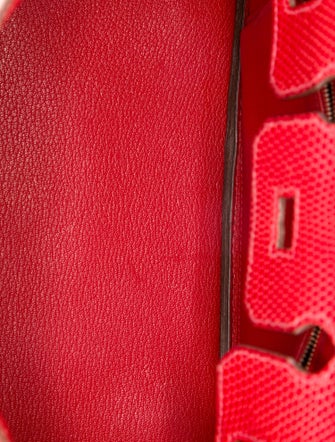 Hermès Varanus Niloticus Lizard Birkin 25