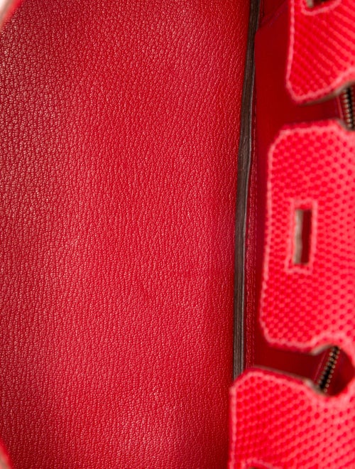 Hermès Varanus Niloticus Lizard Birkin 25