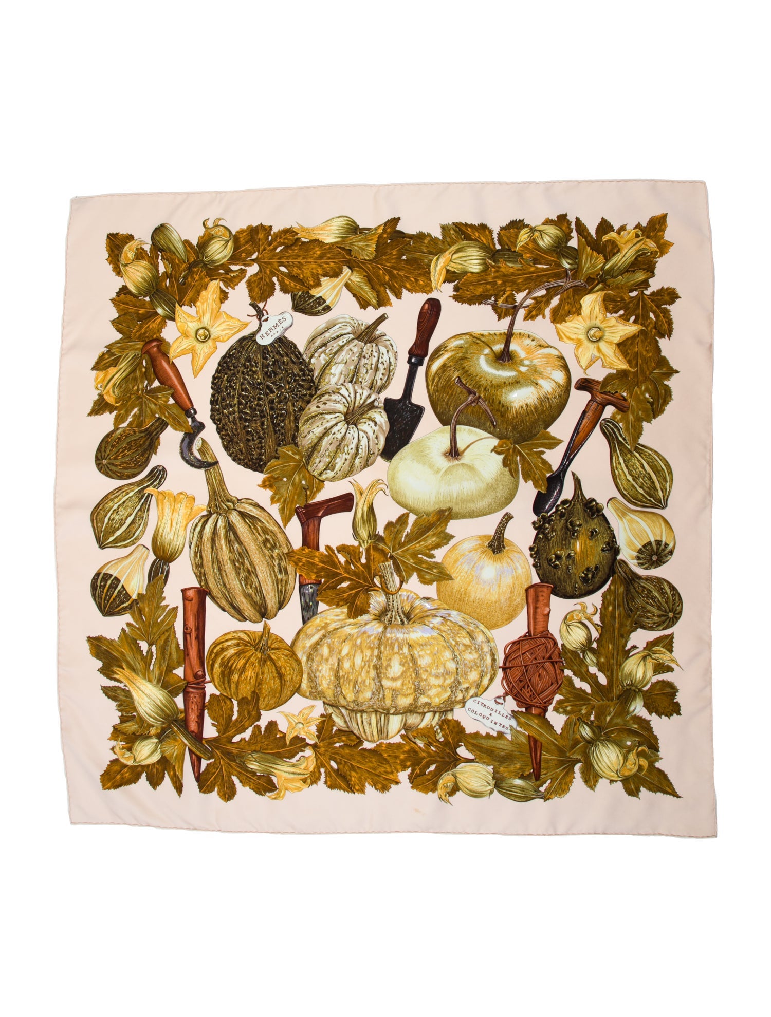 Hermès Citrouilles et Coloquintes Silk Scarf