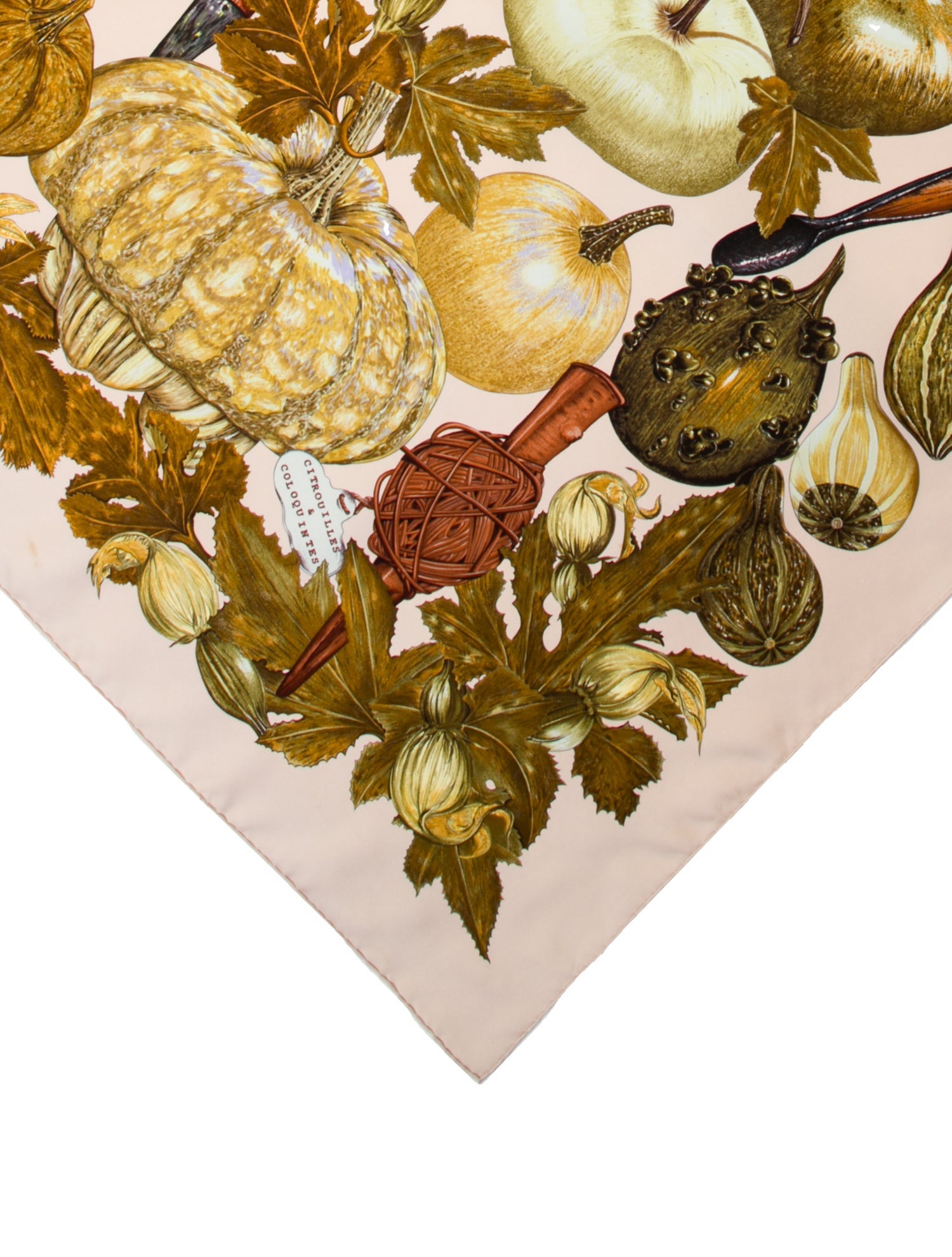 Hermès Citrouilles et Coloquintes Silk Scarf