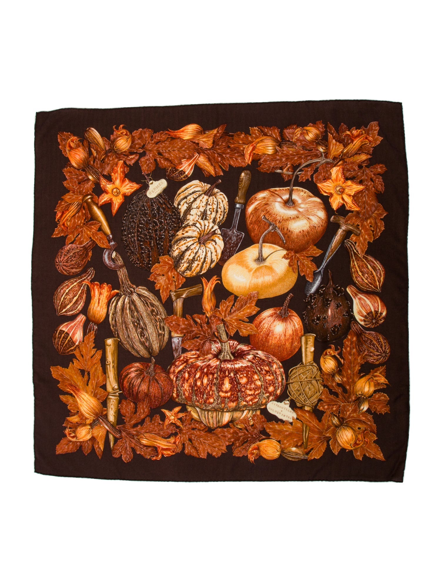 Hermès Citrouilles et Coloquintes Silk Scarf w/ Tags