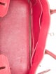 Hermès Clemence Birkin 30
