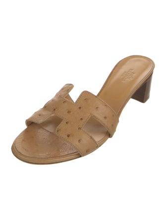 Hermès Oasis H Logo Slides