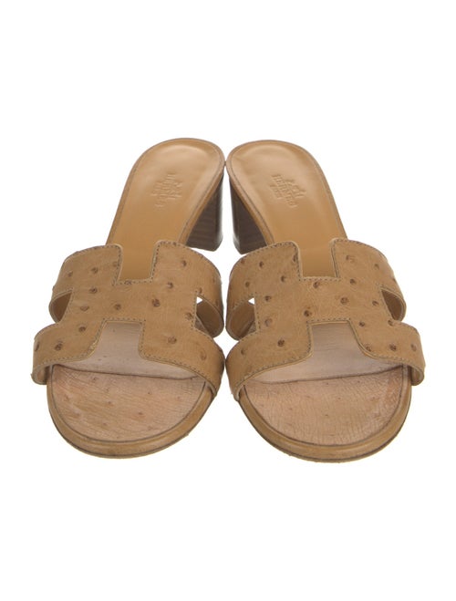 Hermès Oasis H Logo Slides